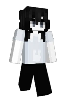 w6_2 Minecraft avatar full body