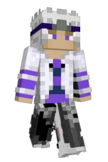 wMise Minecraft avatar full body