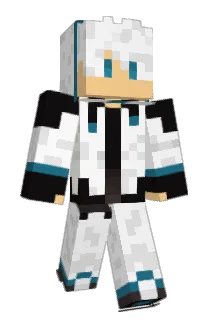 wPolar11 Minecraft avatar full body
