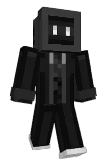 w__a__s__d Minecraft avatar full body