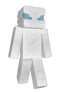w_i_n Minecraft avatar full body