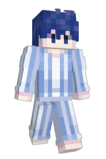 w_lly Minecraft avatar full body
