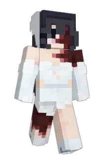 wa_n Minecraft avatar full body