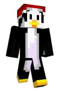 wachocolate Minecraft avatar full body