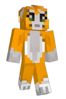 wackydonkey Minecraft avatar full body