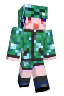 wadaemon Minecraft avatar full body