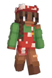 waddlewoddle Minecraft avatar full body