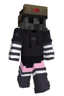 wadri1 Minecraft avatar full body