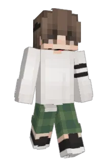 wafflecoud Minecraft avatar full body