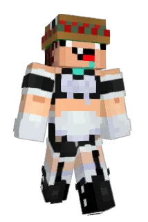 wafless709 Minecraft avatar full body