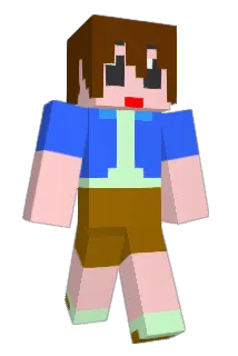 wakakonn Minecraft avatar full body