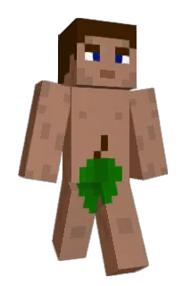 wakasuki Minecraft avatar full body