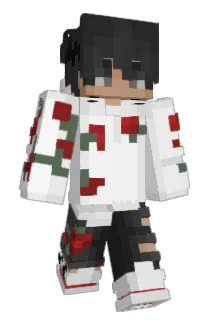 wakoiy Minecraft avatar full body