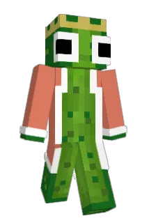 wallibeartje Minecraft avatar full body