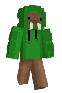 walwuses_ Minecraft avatar full body