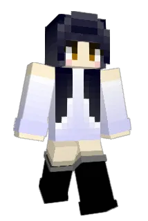 wandp Minecraft avatar full body