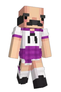 wangbang9 Minecraft avatar full body