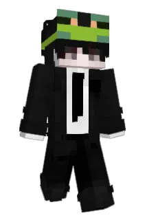 wangguagua Minecraft avatar full body