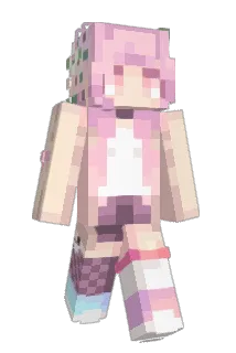 wangting555 Minecraft avatar full body