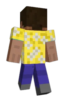 wankeeta Minecraft avatar full body