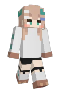 wanya00 Minecraft avatar full body