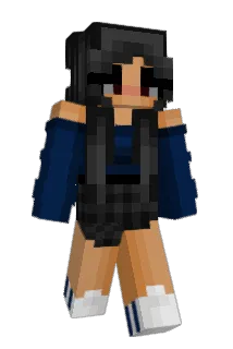 wap2003 Minecraft avatar full body
