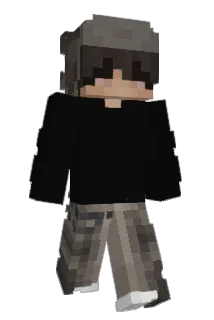 wardae Minecraft avatar full body