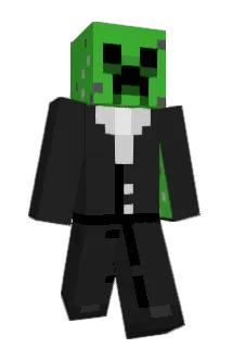 wardro Minecraft avatar full body