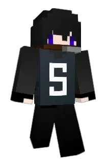 wardsean Minecraft avatar full body