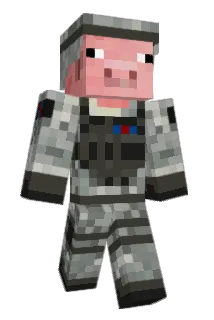 warr_pig Minecraft avatar full body