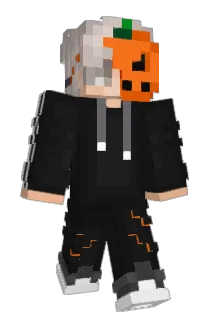 wary14 Minecraft avatar full body