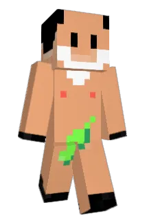 wasabi8201 Minecraft avatar full body