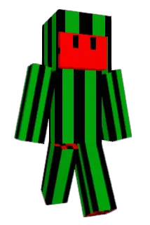 wasabi9890 Minecraft avatar full body