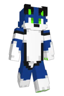 wasacz Minecraft avatar full body