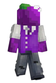 wasdz Minecraft avatar full body