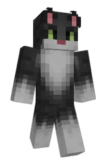 wassup1717 Minecraft avatar full body