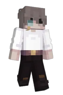 wast3 Minecraft avatar full body