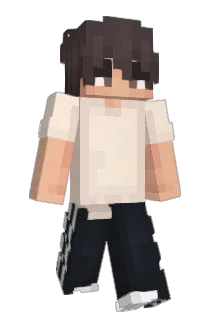 wastyinnit Minecraft avatar full body