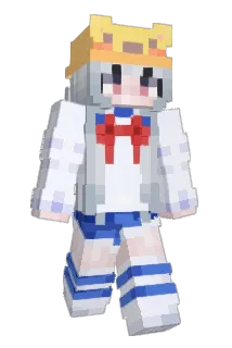 wasyter Minecraft avatar full body