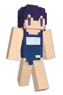 wata_net Minecraft avatar full body