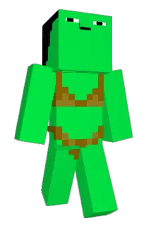 wayway101 Minecraft avatar full body