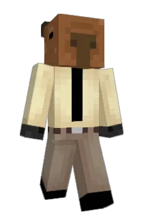 wazapapaa Minecraft avatar full body