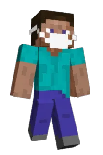wbjo215 Minecraft avatar full body