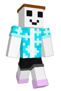 wbongus Minecraft avatar full body