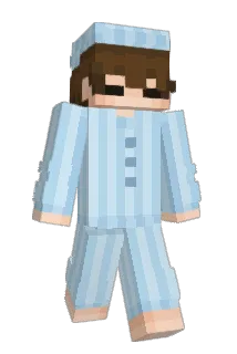 wbxs Minecraft avatar full body