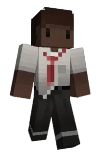wcad3n Minecraft avatar full body