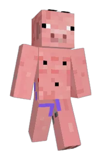 wcjdikd Minecraft avatar full body
