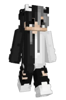wdd9700 Minecraft avatar full body