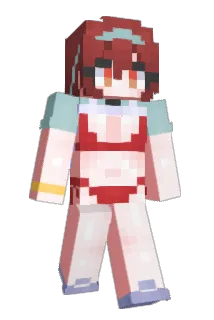wdfc Minecraft avatar full body