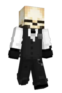 wdmNA Minecraft avatar full body